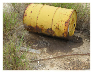 Environmental Hazards 2 Environmental Hazards 2