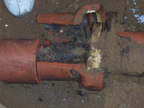 A damaged clay pipe underground, filled with dirt and tree roots, showing a blockage. Part of a white shoe is visible in the top left corner.
