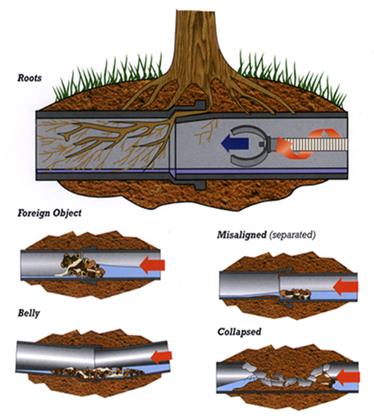 Diagram showing how tree roots and various conditions—foreign objects, misaligned pipes, belly, and collapsed pipes—can obstruct or damage underground pipes, potentially causing blockages or leaks.
