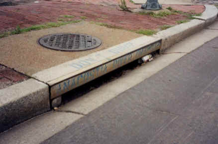 A street storm drain at a curb with a metal plate that reads "Don’t Dump, Drains to River." Nearby are a manhole cover, some grass, and red brick pavement. Trash is visible inside the drain.