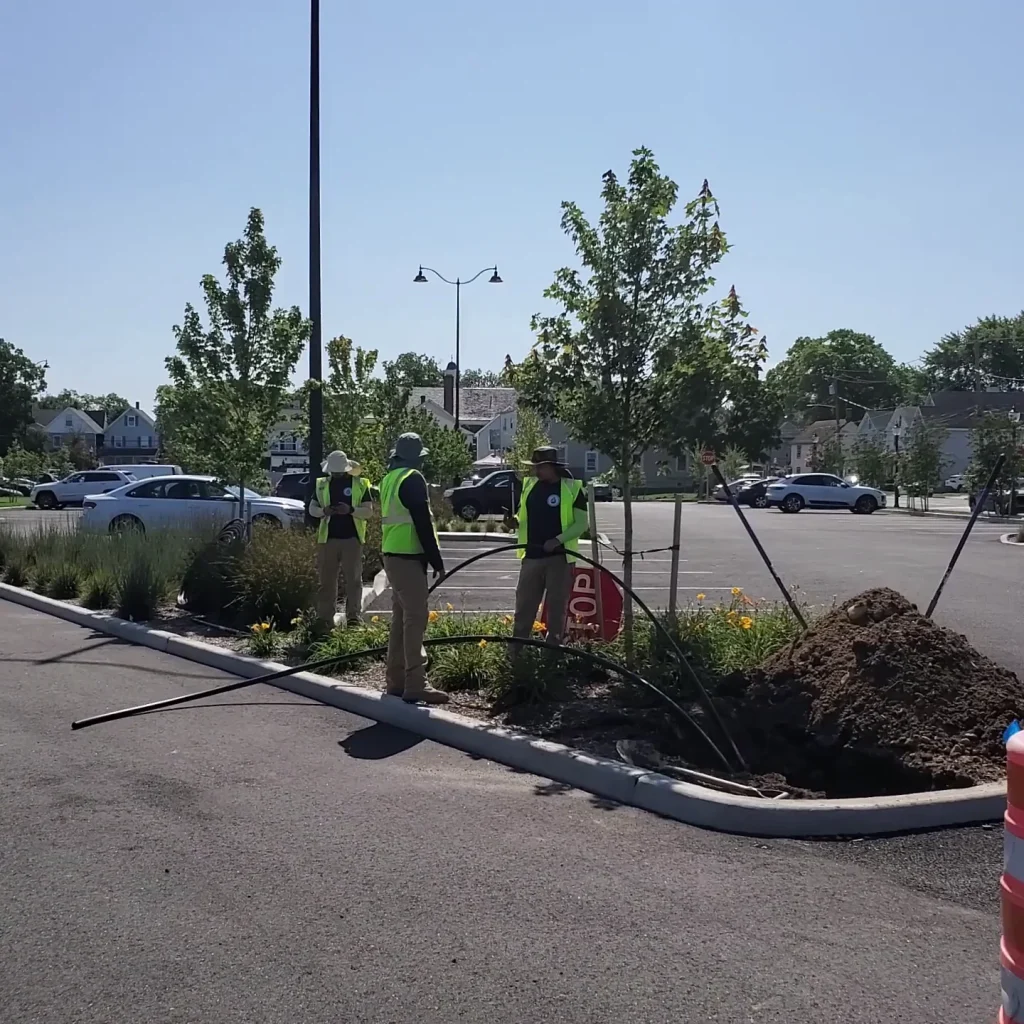 Three workers in yellow safety vests and helmets stand near a newly planted tree in a parking lot median with soil and tools around them. Cars are parked nearby, and houses are visible in the background.